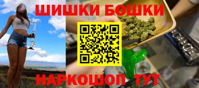 индика Славгород