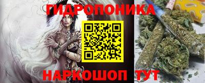индика Славгород