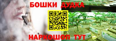 индика Славгород